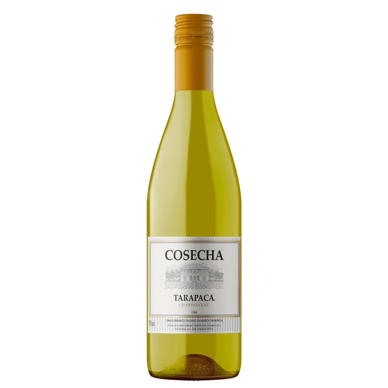 Tarapacá Cosecha Chardonnay